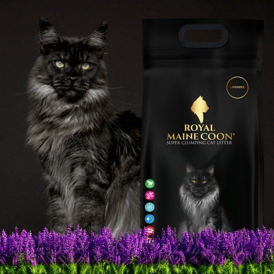 Lavender Scented Cat Litter (10 lt)